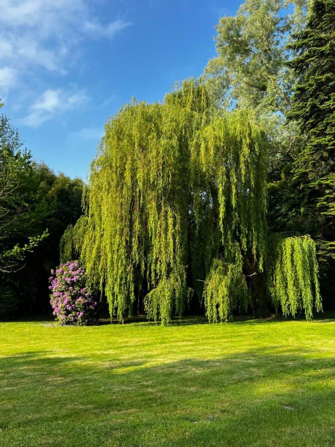 Le Clos De Lily *